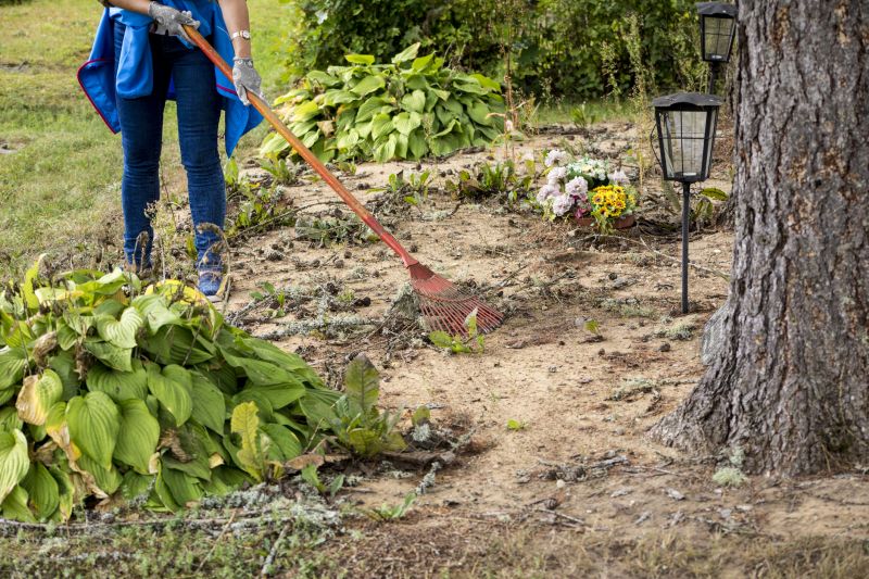 Pine Tree Clearing in Salt Lake City, UT